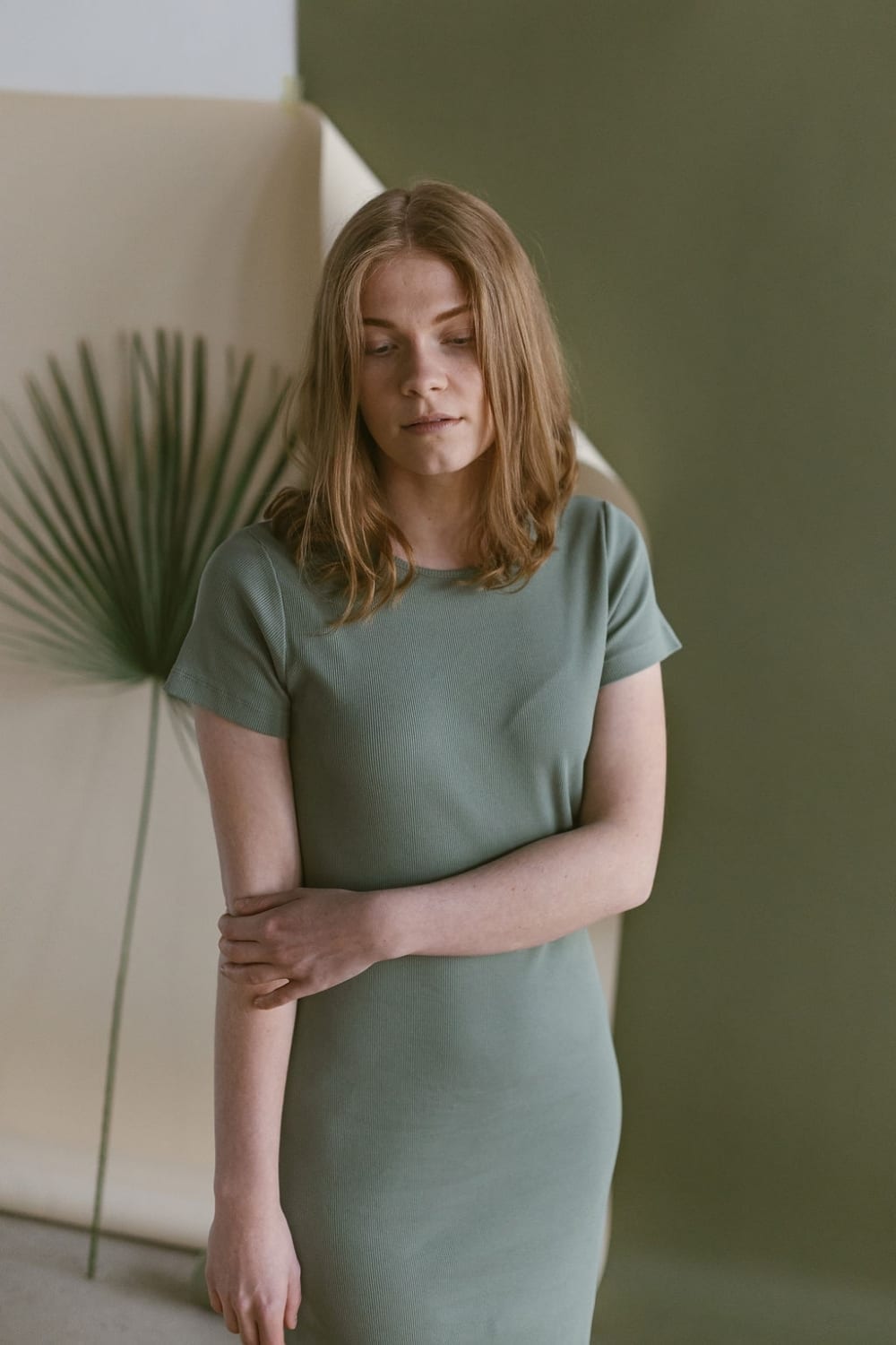 Rib Jersey Kleid, bough
