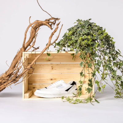 UX-68 Dot Vegan Shoes